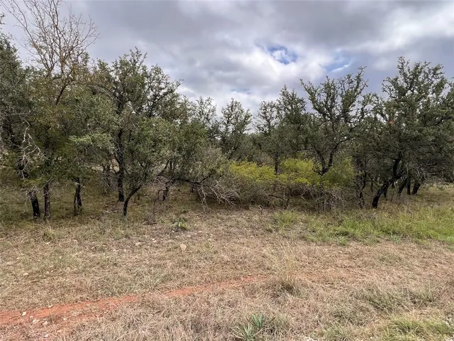 a view of a dry yard with trees