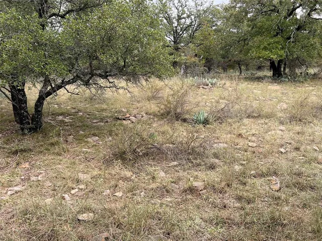 a view of a yard with a tree