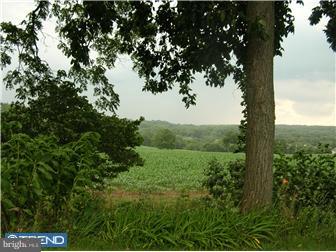 100 Conway Court Exton, PA 19341 - Photo 7 of 12