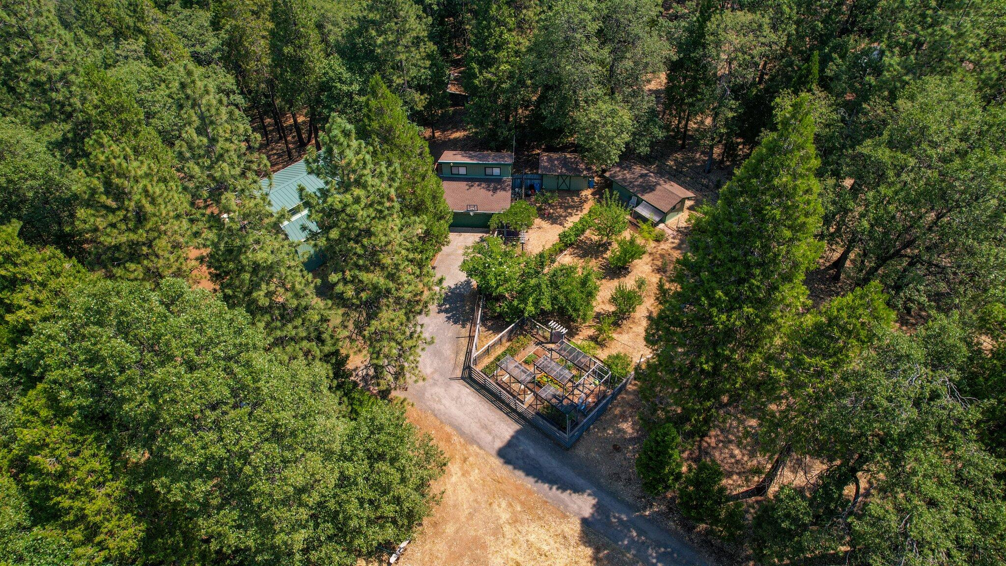 27960 Bullskin Ridge Road Oak Run, CA 96069 - Photo 1 of 62 67-web-or-mls-DJI_0167