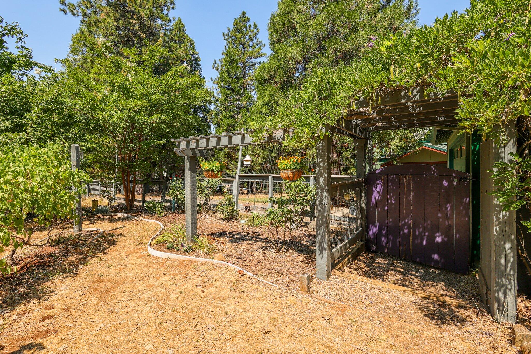 27960 Bullskin Ridge Road Oak Run, CA 96069 - Photo 51 of 62 55-web-or-mls-8Q0A6986