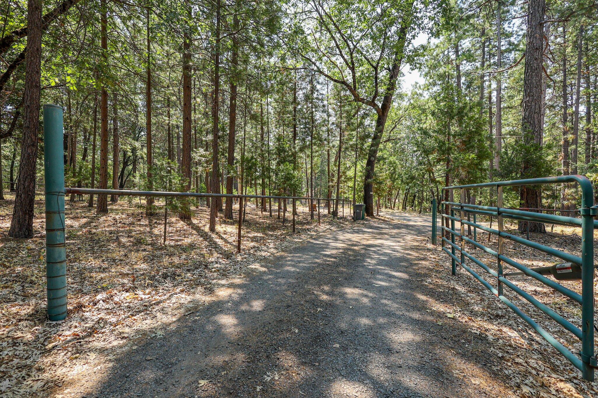 27960 Bullskin Ridge Road Oak Run, CA 96069 - Photo 60 of 62 26-web-or-mls-8Q0A6816