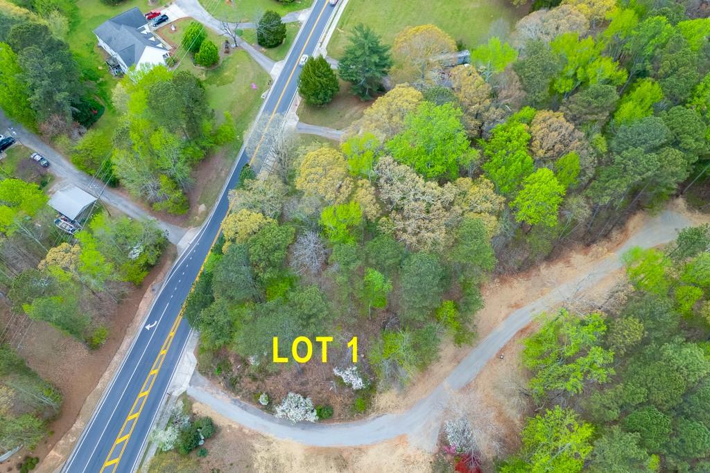 7925 Lotus Walk Road Cumming, GA 30041 - Photo 5 of 11 a view of a tree with a yard