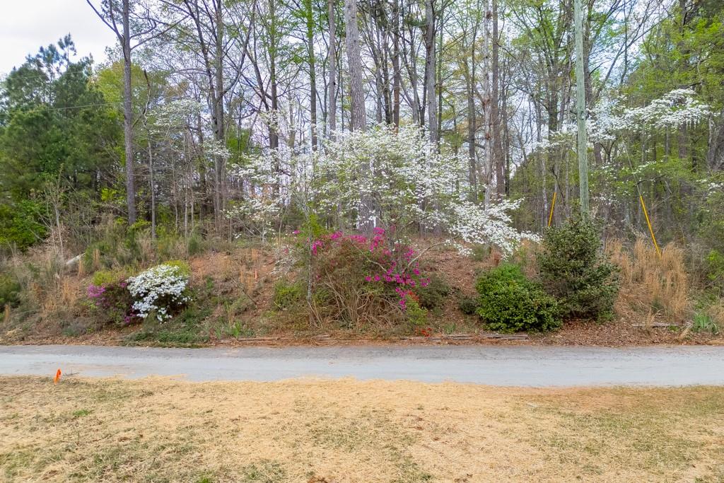 7925 Lotus Walk Road Cumming, GA 30041 - Photo 7 of 11 a view of a lake with a yard