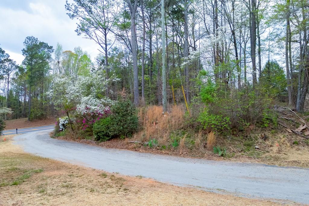 7925 Lotus Walk Road Cumming, GA 30041 - Photo 8 of 11 a backyard of a house with lots of green space