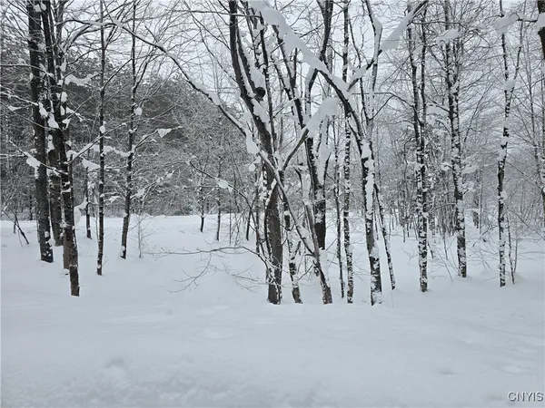 $29,900 | Mill Road, Taberg, NY 13471