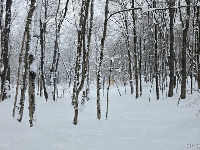 $29,900 | Mill Road, Taberg, NY 13471