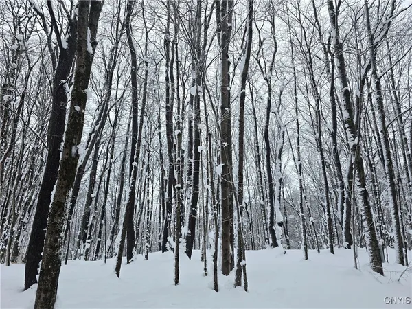 $29,900 | Mill Road, Taberg, NY 13471