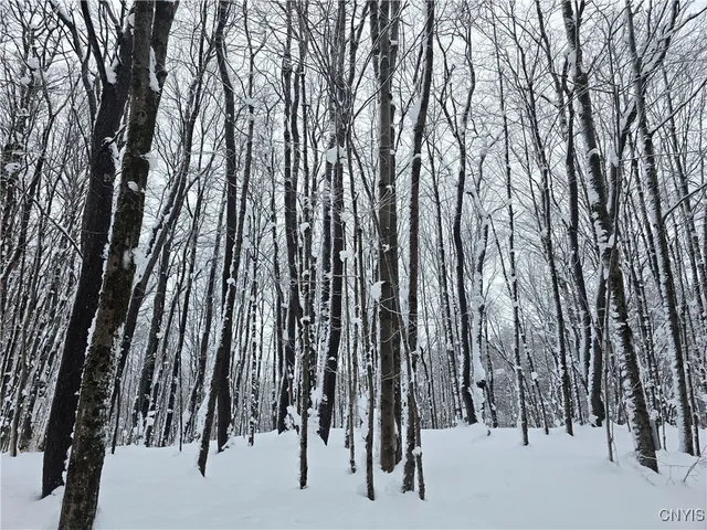 $29,900 | Mill Road, Taberg, NY 13471