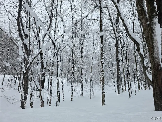 $29,900 | Mill Road, Taberg, NY 13471