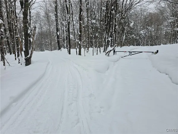 $29,900 | Mill Road, Taberg, NY 13471