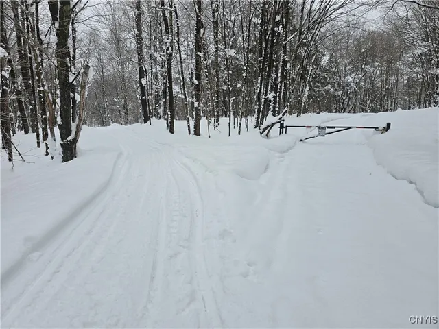 $29,900 | Mill Road, Taberg, NY 13471