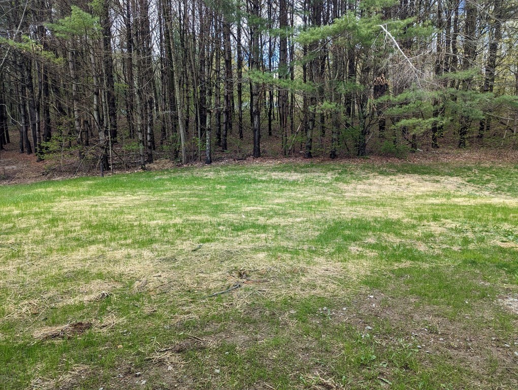 41 Fitzgerald Road Charlton, MA 01507 - Photo 9 of 42 a view of a yard with large trees