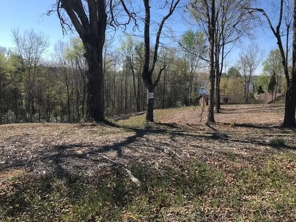 $45,000 | 14 Piney View Drive, Spring City, TN 37381