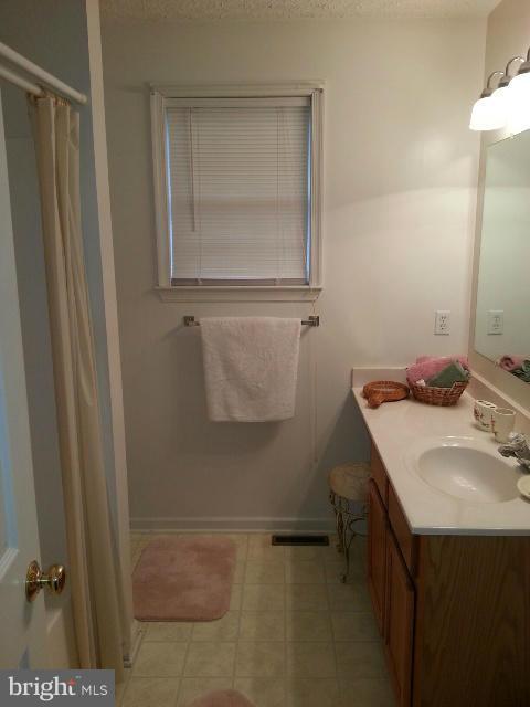 105 Pointer Way Inwood, WV 25428 - Photo 14 of 26 Bath (Master)
