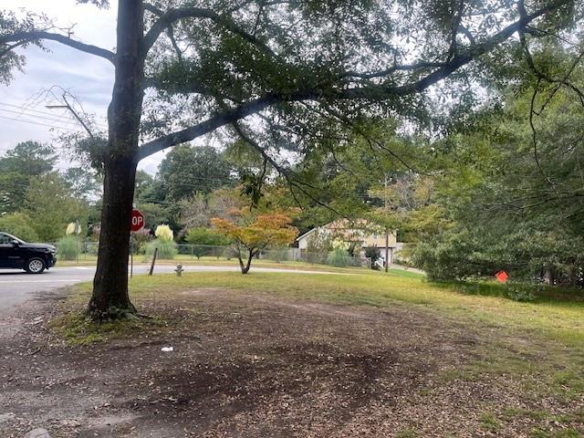 709 Ridge Avenue Stone Mountain, GA 30083 - Photo 2 of 3 a view of outdoor space with trees