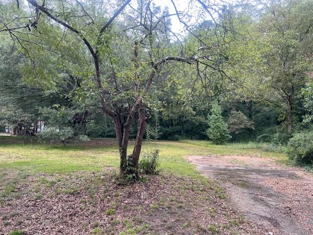 709 Ridge Avenue Stone Mountain, GA 30083 - Photo 3 of 3 a view of a yard with a tree