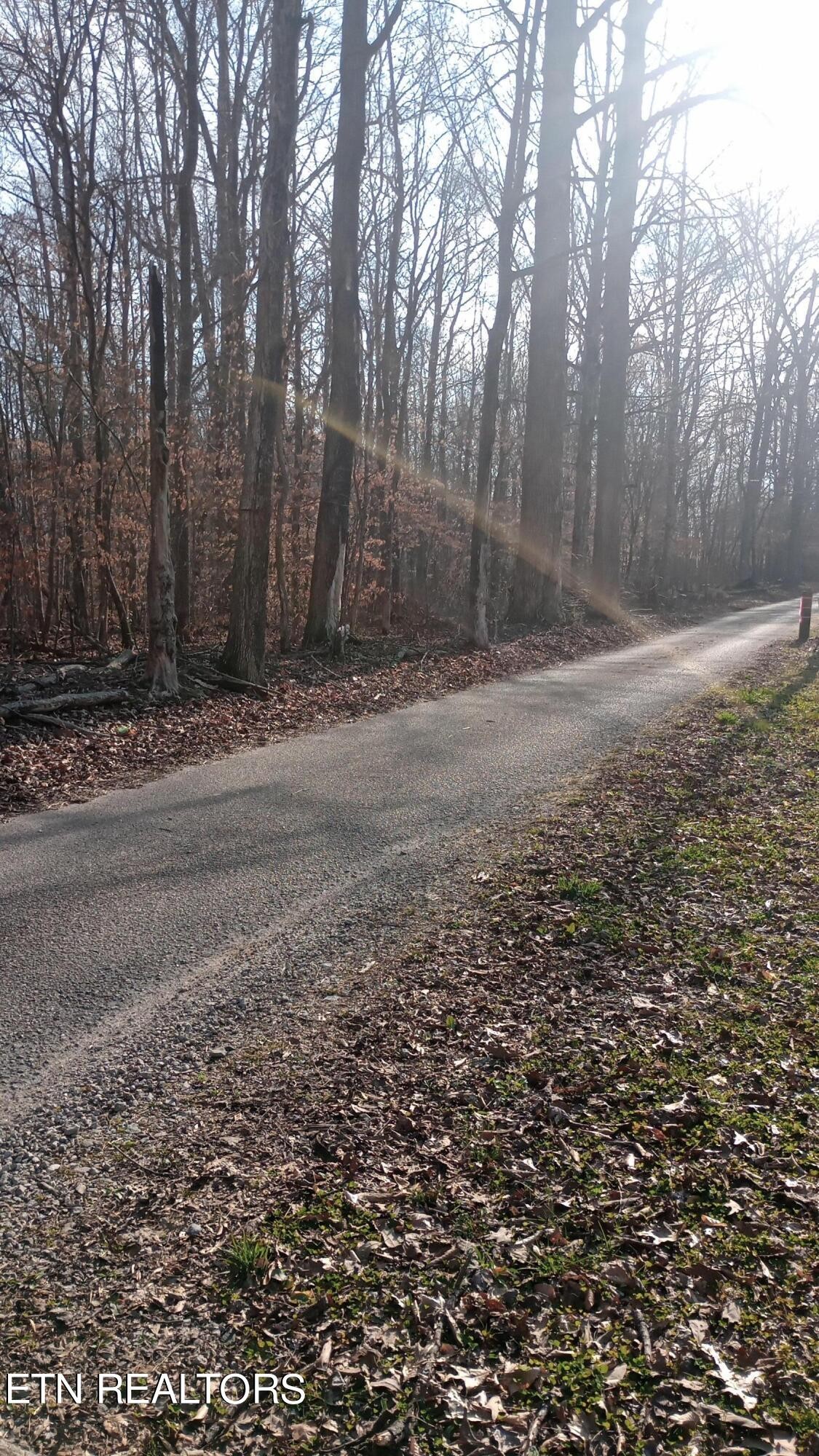 0 Carl Griffith Road Robbins, TN 37852 - Photo 1 of 3 Gallery Image 1