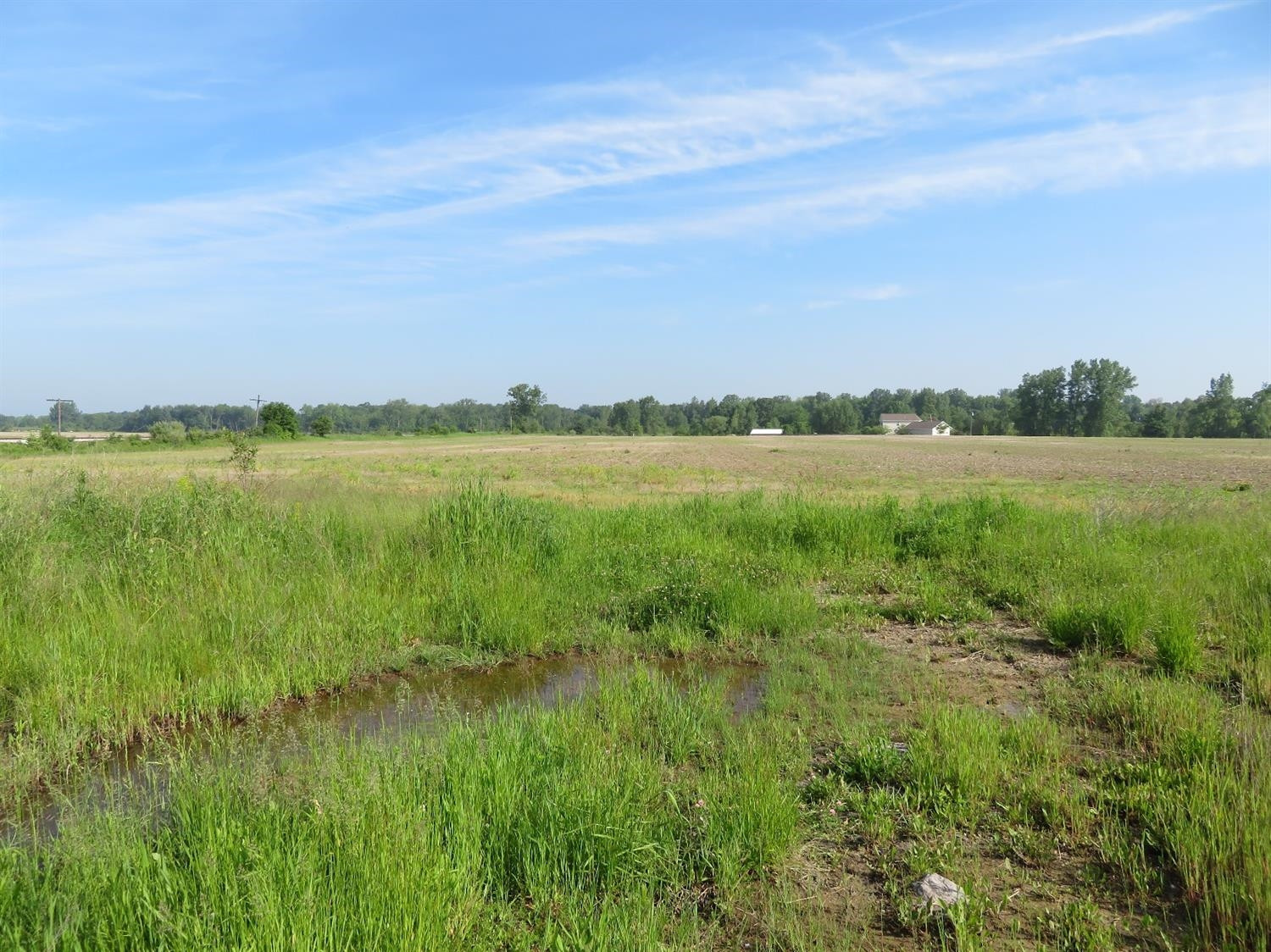 10980 Platt Road Milan, MI 48160 - Photo 4 of 6 Photo 4