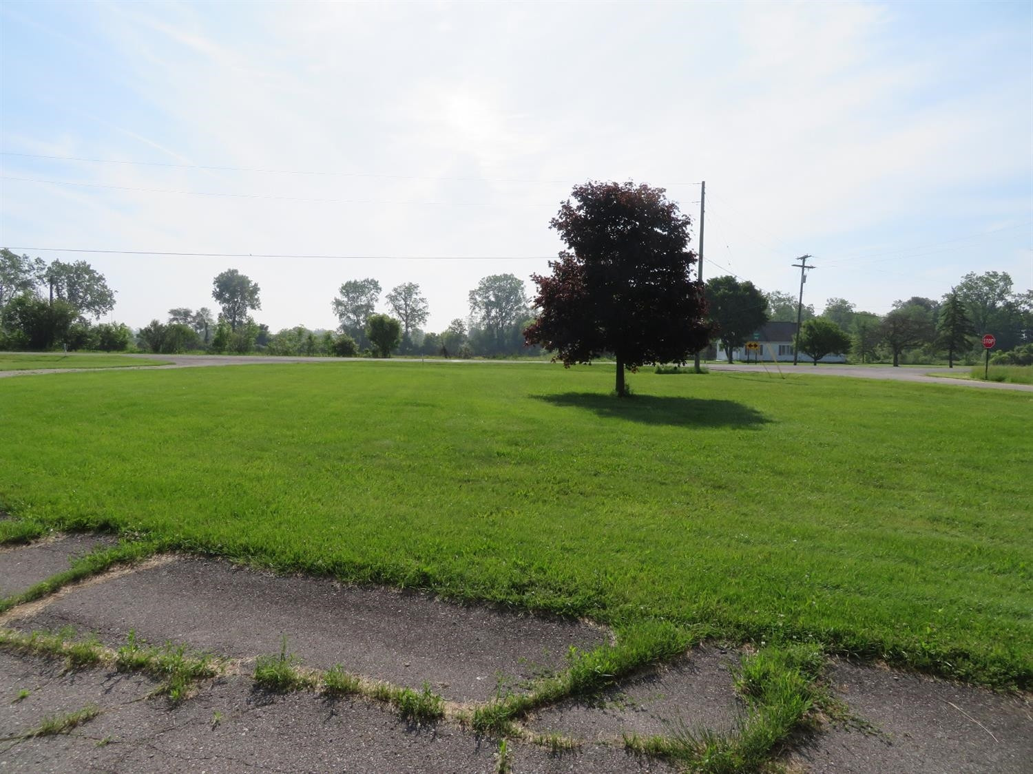10980 Platt Road Milan, MI 48160 - Photo 6 of 6 Photo 6