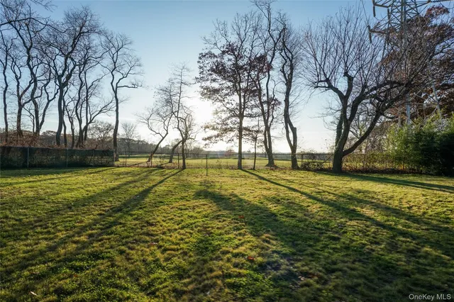 a view of a park with large trees