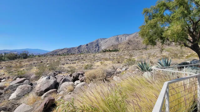 a view of a swimming pool with a terrace
