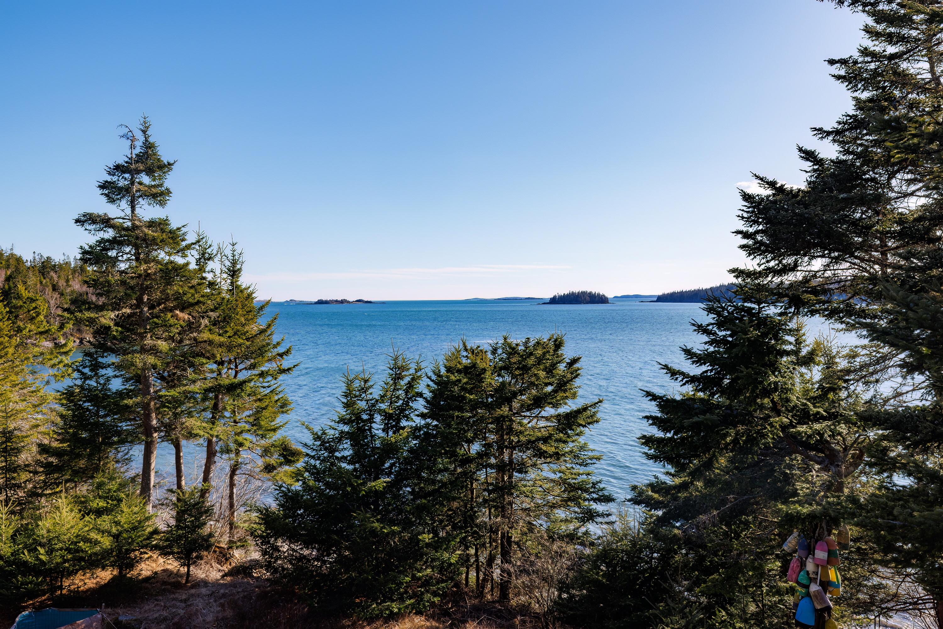 72 North Ocean Road Machiasport, ME 04655 - Photo 71 of 74 22-80 North Ocean Road HiRes-DTP