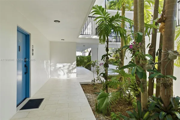 a view of a potted plants in backyard of a house