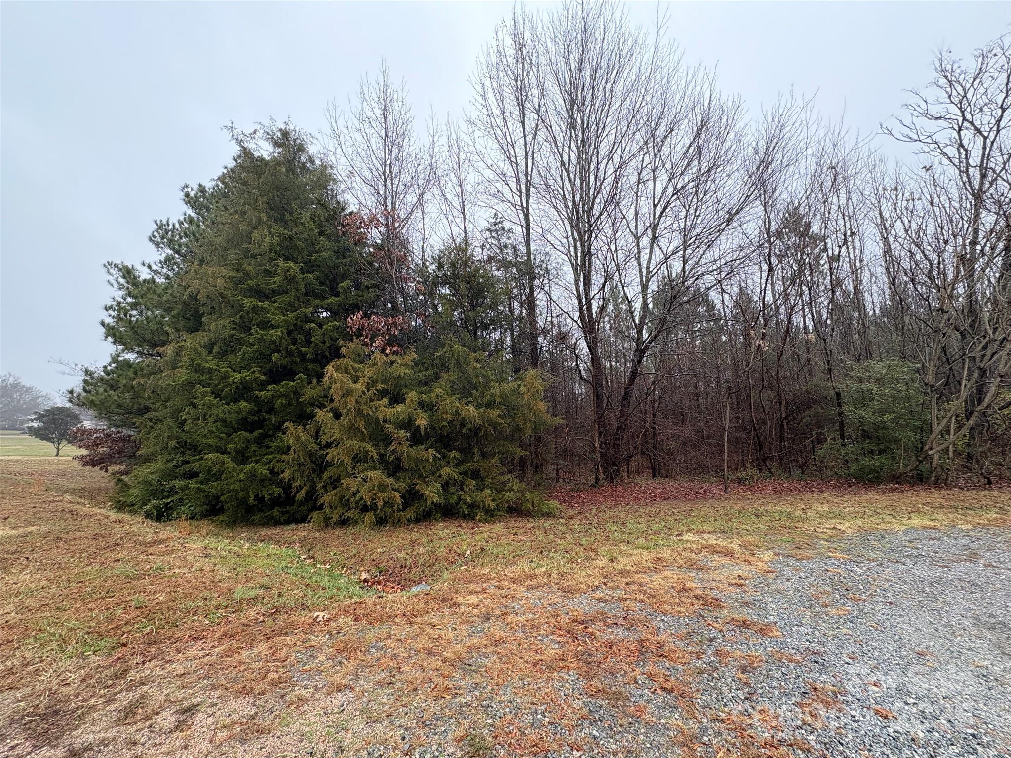 a view of outdoor space and yard