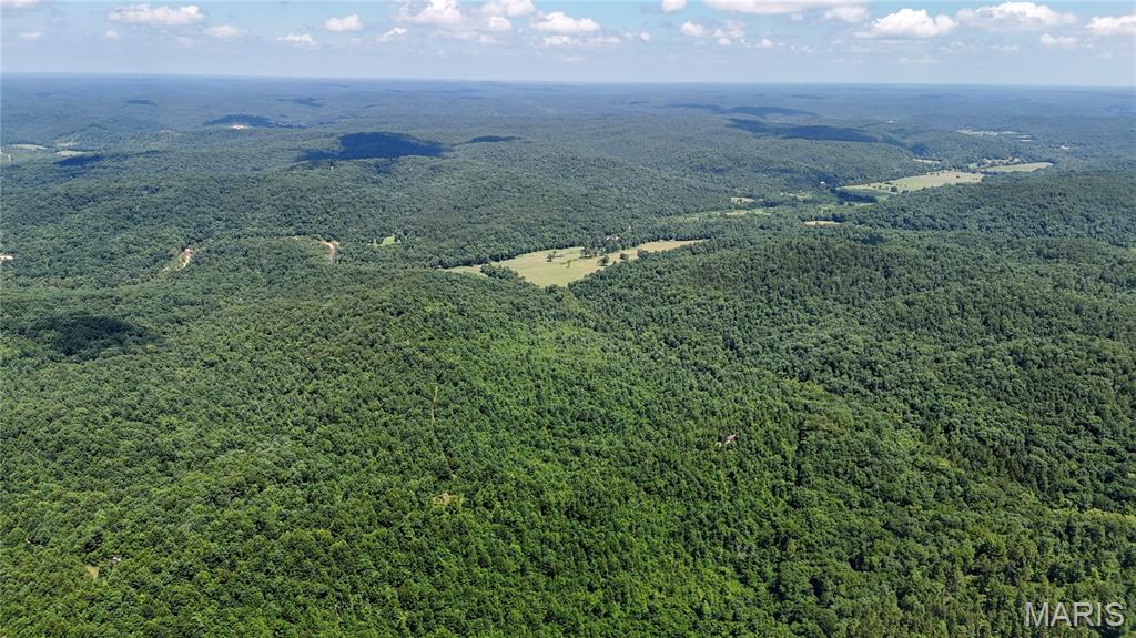 Tbd Tbd Antler Ridge Bunker, MO 63629 - Photo 16 of 26