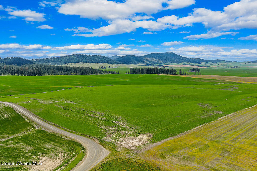 Nka Nka Mcclellan Road Plummer, ID 83851 - Photo 11 of 21 11_SelkirkMedia