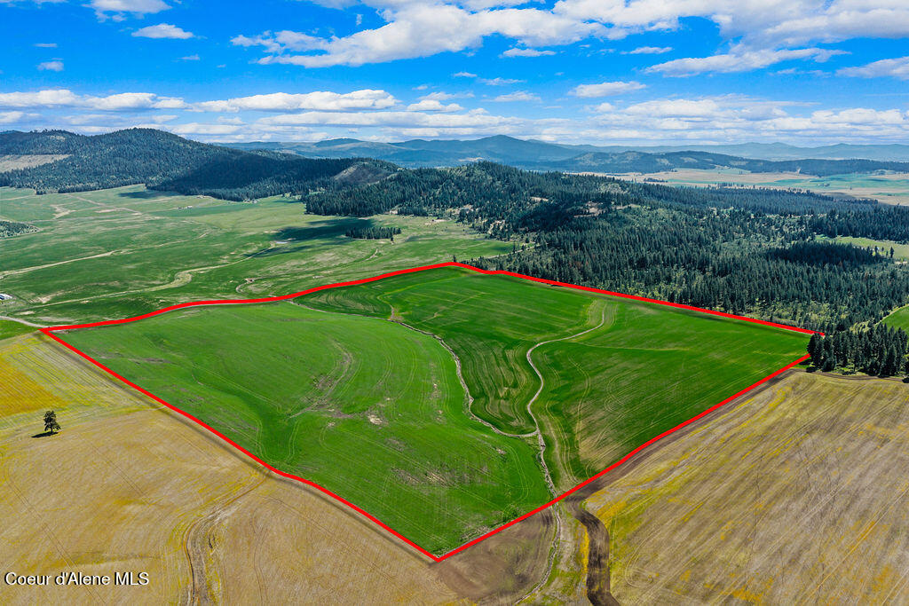 Nka Nka Mcclellan Road Plummer, ID 83851 - Photo 2 of 21 2_SelkirkMedia