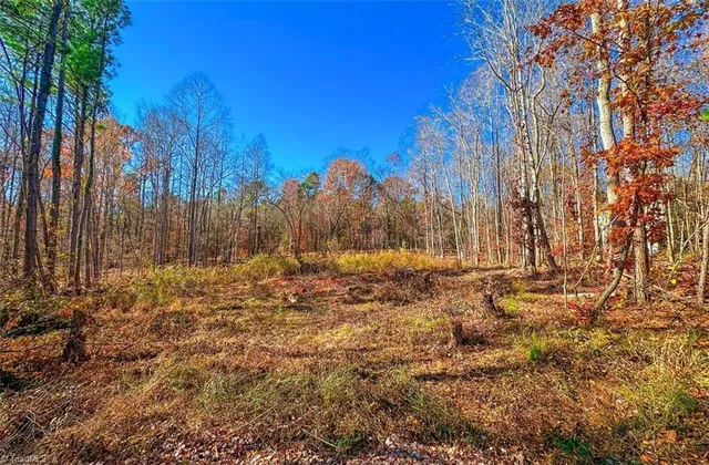 $75,000 | 170 Hash Lane, Summerfield, NC 27358