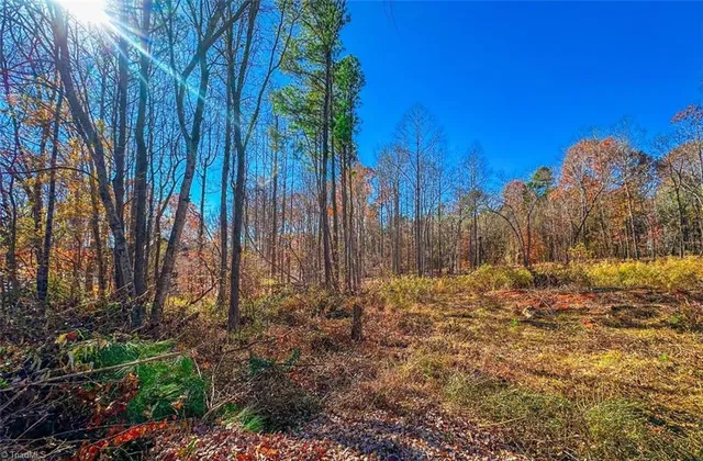 $75,000 | 170 Hash Lane, Summerfield, NC 27358