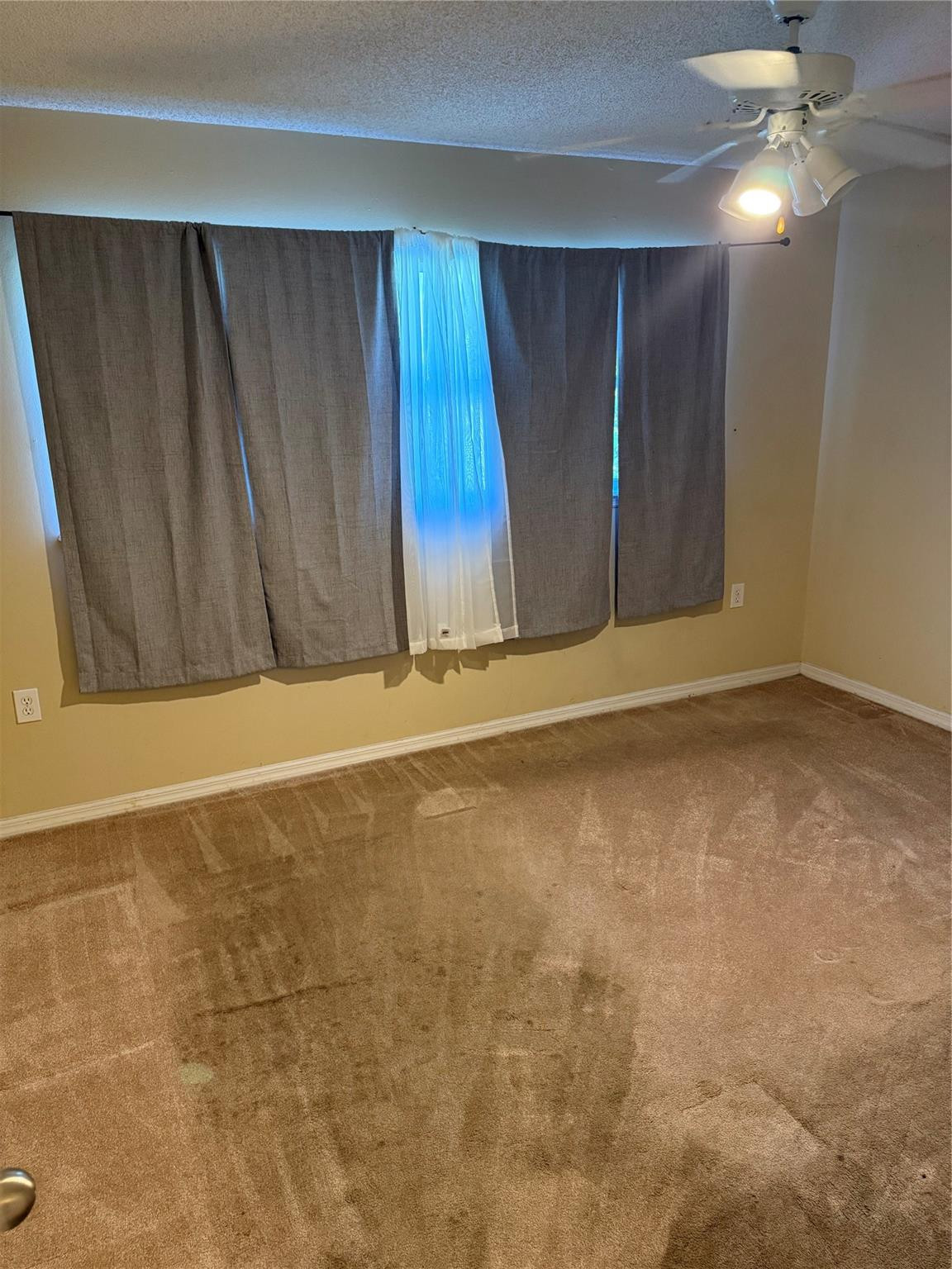 7821 Shellbark Drive Orlando, FL 32818 - Photo 10 of 16 Photo 10