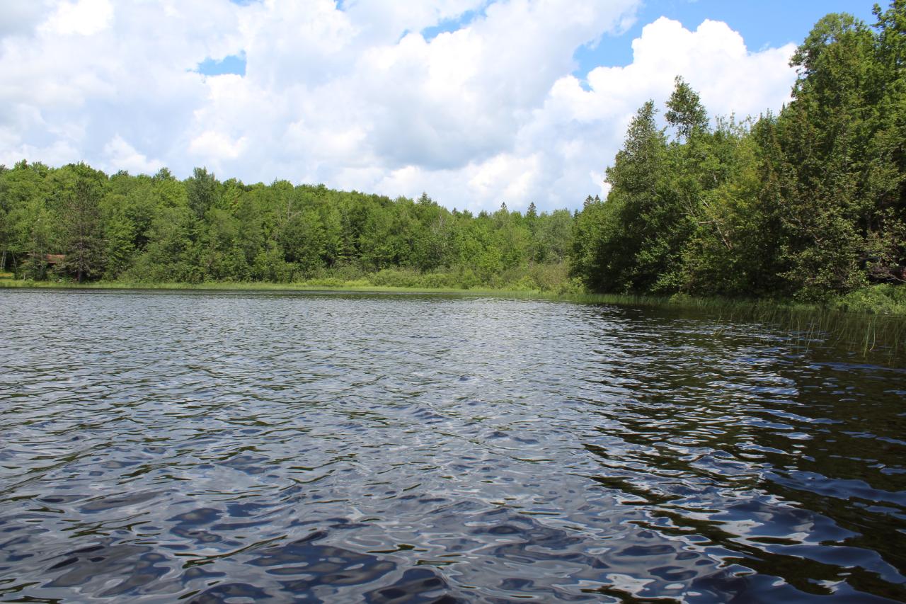 On On Tea Lake Road Marengo, WI 54855 - Photo 3 of 12 Gallery Image 3