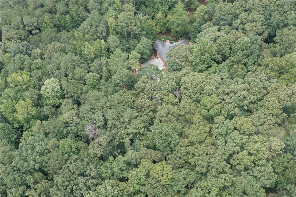 5885 West Chapel Hill Road Douglasville, GA 30135 - Photo 5 of 42 a view of a forest with a toilet and bushes