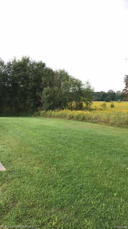 930 East Leonard Road Leonard, MI 48367 - Photo 16 of 49