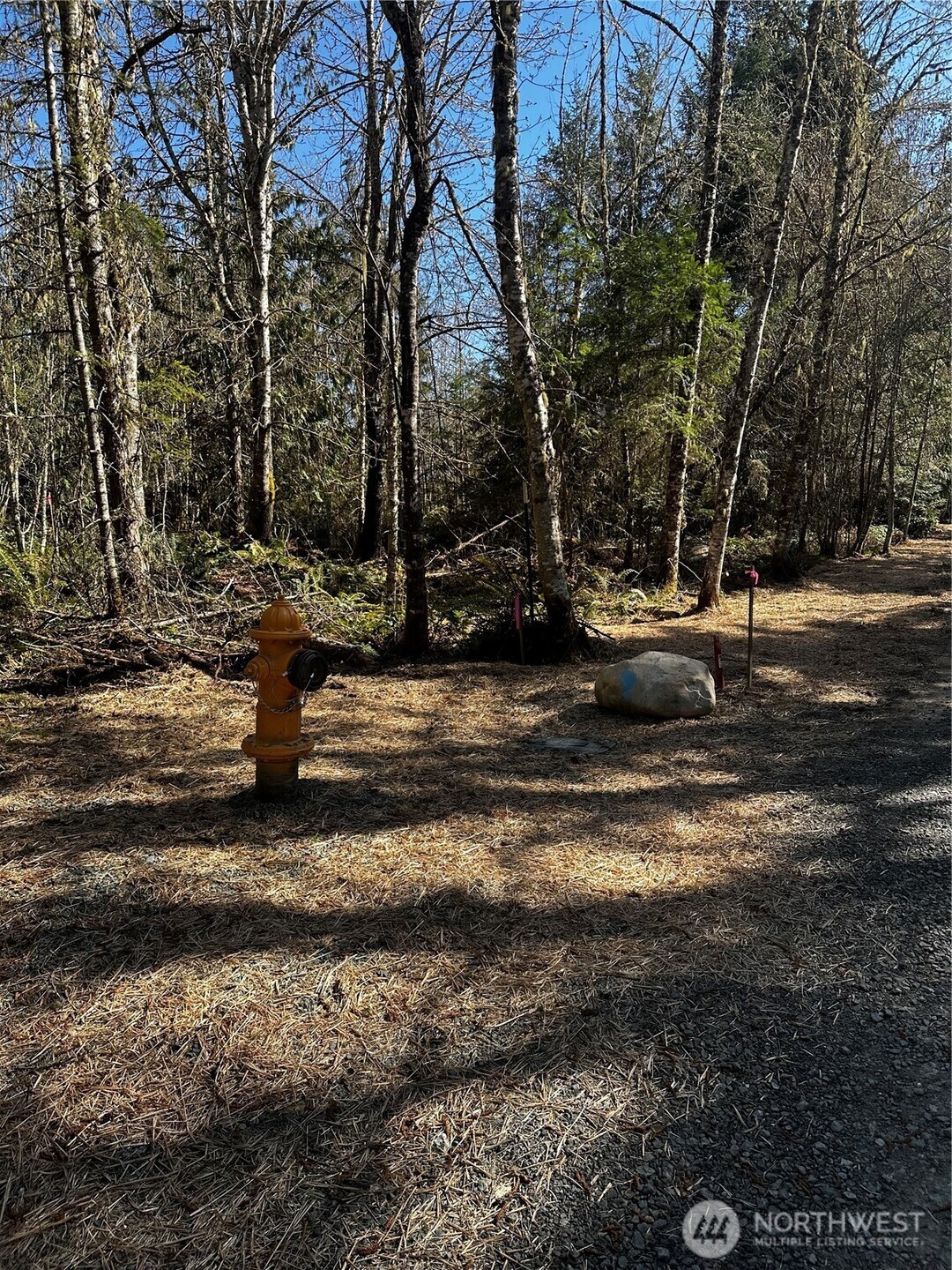 2 Robinson Rd Port Port Angeles, WA 98362 - Photo 5 of 9