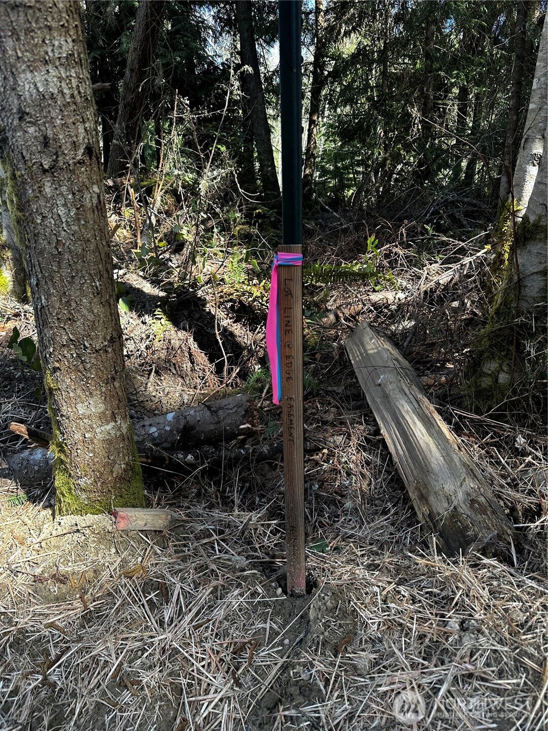 2 Robinson Rd Port Port Angeles, WA 98362 - Photo 6 of 9