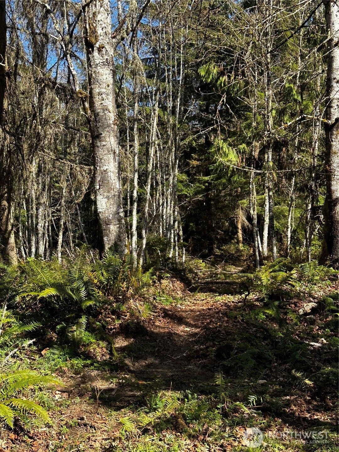 2 Robinson Rd Port Port Angeles, WA 98362 - Photo 8 of 9