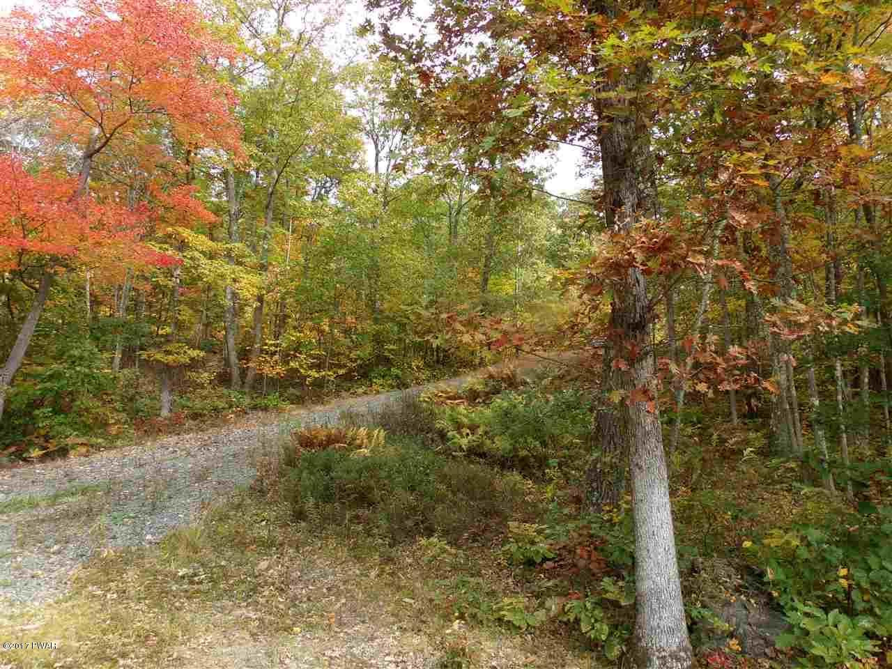 Lot 6.82 Lenni Lenape Road Narrowsburg, NY 12764 - Photo 11 of 17
