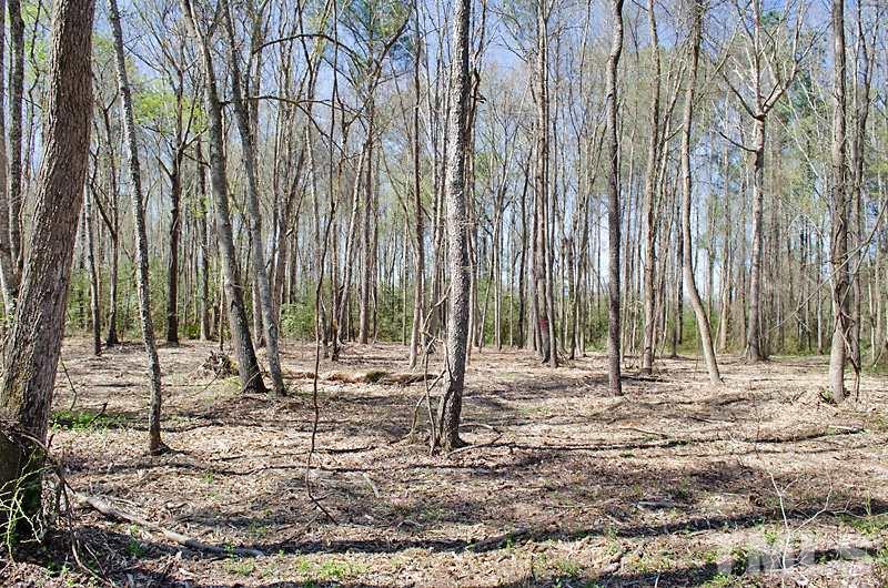 5 C Cobb Road Benson, NC 27504 - Photo 5 of 6