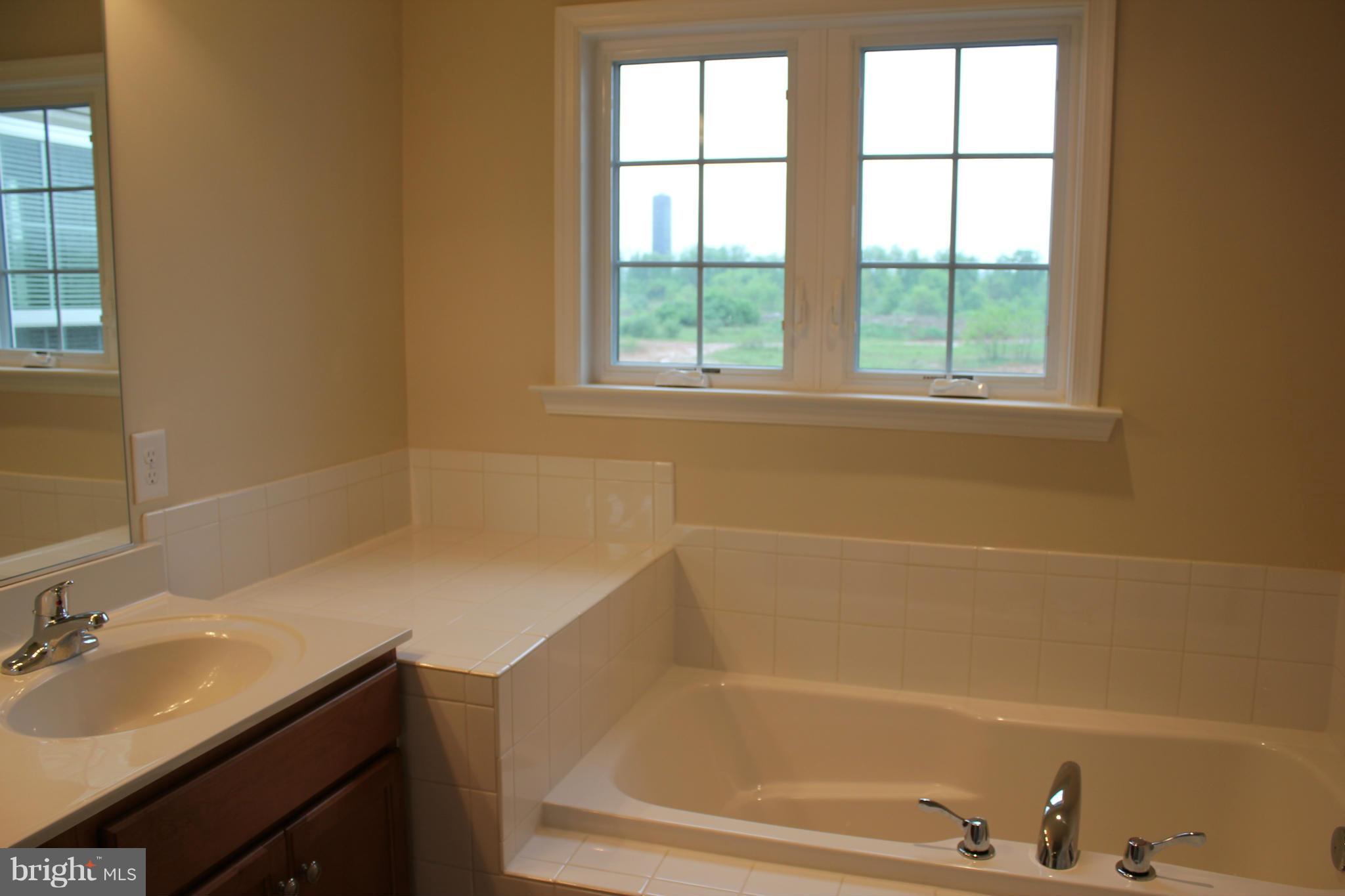 1141 Stallion Street Ranson, WV 25438 - Photo 22 of 27 Bath (Master)