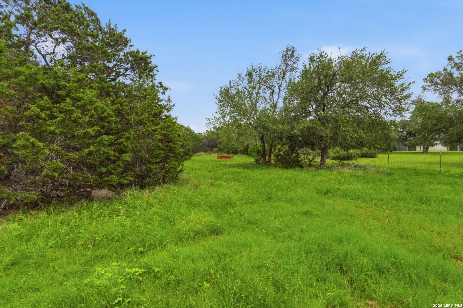 180 Saur Road Bulverde, TX 78163 - Photo 59 of 72