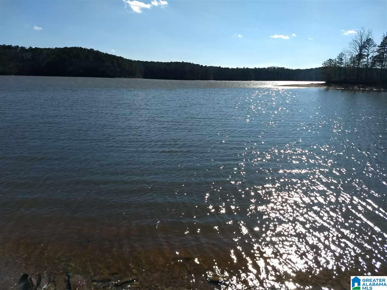 Red Eye Lane, Unit 22 Wedowee, AL 36278 - Photo 1 of 6