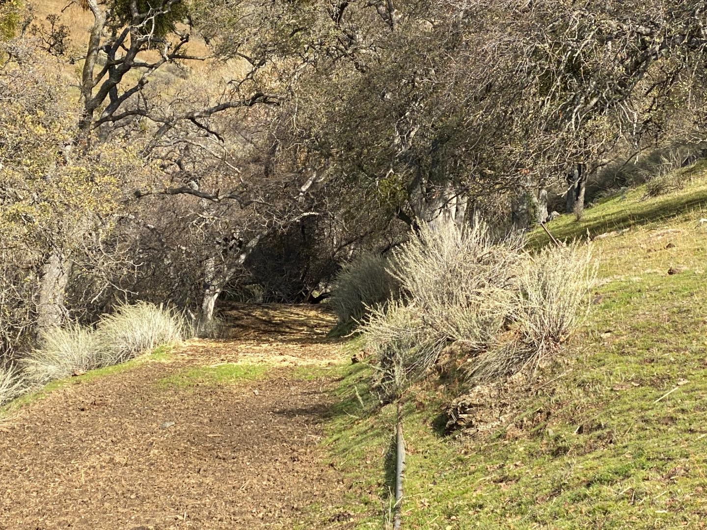 19967 Panoche Road Paicines, CA 95043 - Photo 23 of 33