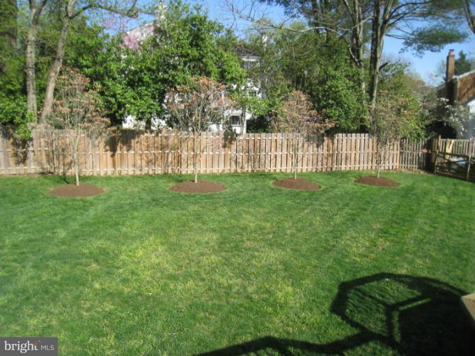 8010 Falstaff Road McLean, VA 22102 - Photo 14 of 27 Exterior (Rear)
