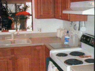 15285 Highway 216 Three Rivers, MI 49093 - Photo 2 of 6 Additional Photo
