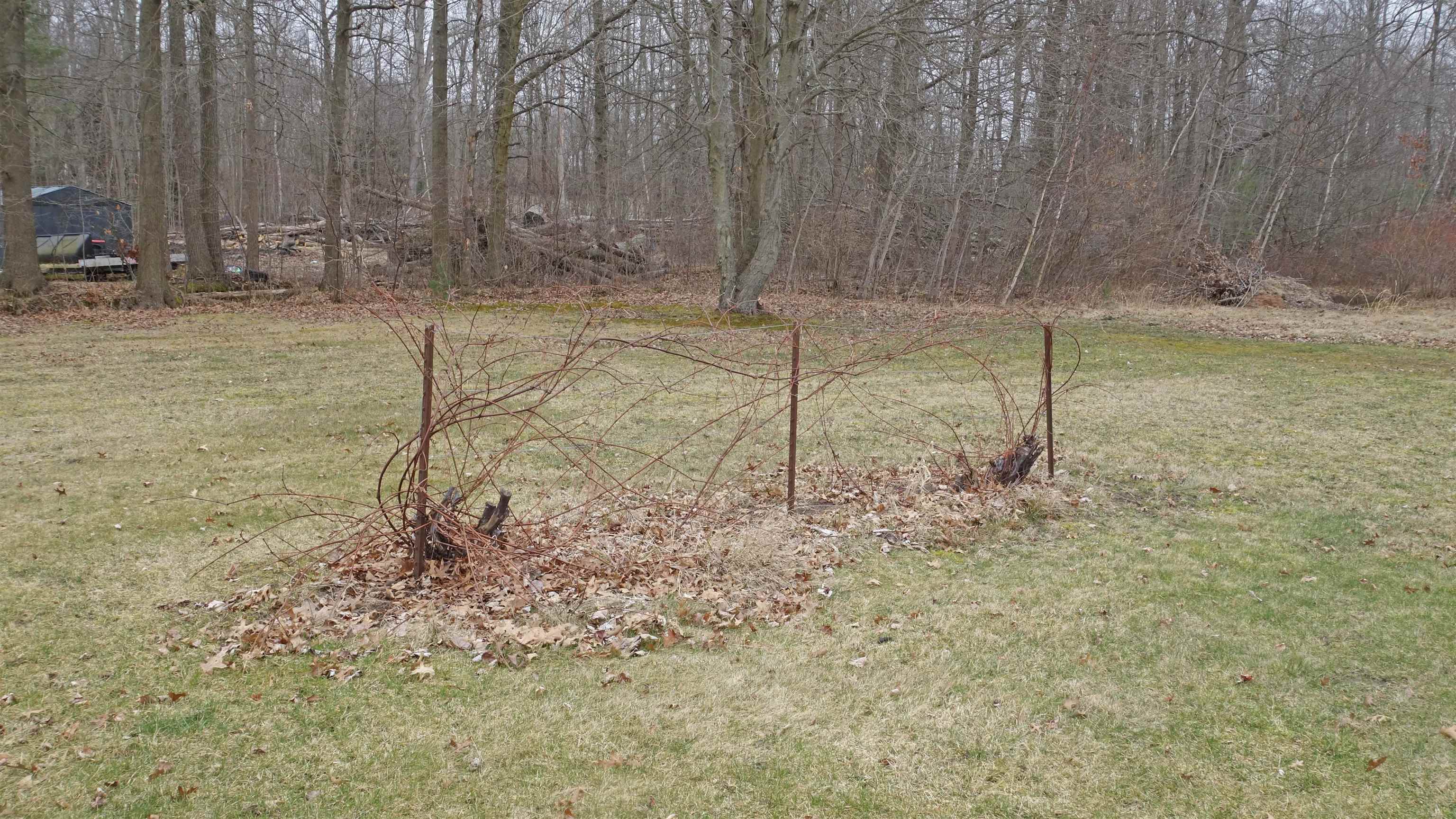 12015 Lakefield Road St. Charles, MI 48655 - Photo 36 of 42 50138105-3602fbd7-5df1-4828-a89c-b4a5989d525d.JPG